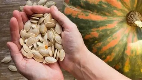 Remedio casero con auyama para adelgaza